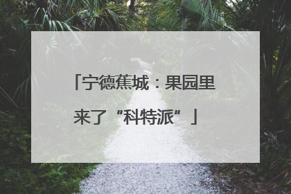 宁德蕉城：果园里来了“科特派”