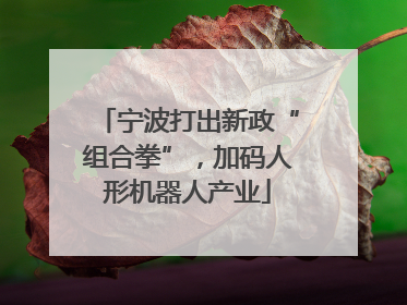 宁波打出新政“组合拳”，加码人形机器人产业