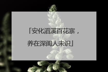 安化滔溪百花寨，养在深闺人未识