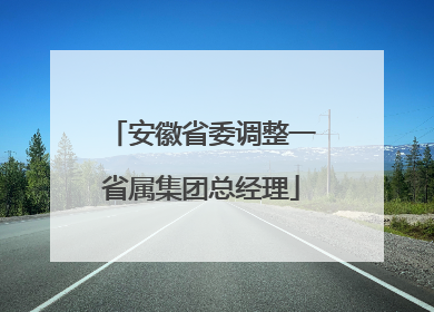 安徽省委调整一省属集团总经理