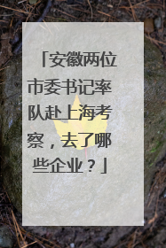安徽两位市委书记率队赴上海考察，去了哪些企业？