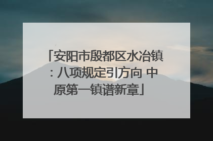 安阳市殷都区水冶镇：八项规定引方向 中原第一镇谱新章