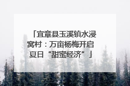 宜章县玉溪镇水浸窝村：万亩杨梅开启夏日“甜蜜经济”