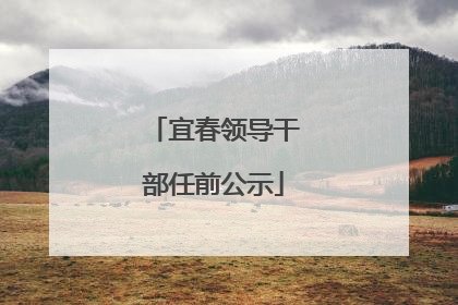 宜春领导干部任前公示