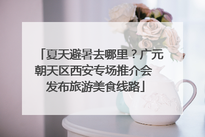 夏天避暑去哪里？广元朝天区西安专场推介会 发布旅游美食线路