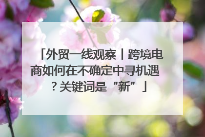 外贸一线观察丨跨境电商如何在不确定中寻机遇？关键词是“新”