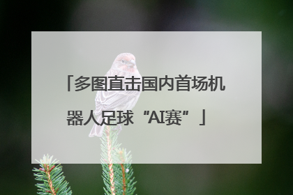 多图直击国内首场机器人足球“AI赛”