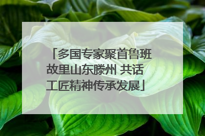 多国专家聚首鲁班故里山东滕州 共话工匠精神传承发展