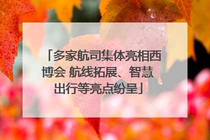 多家航司集体亮相西博会 航线拓展、智慧出行等亮点纷呈