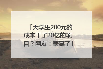 大学生200元的成本干了20亿的项目？网友：羡慕了
