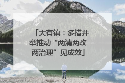 大有镇：多措并举推动“两清两改两治理”见成效