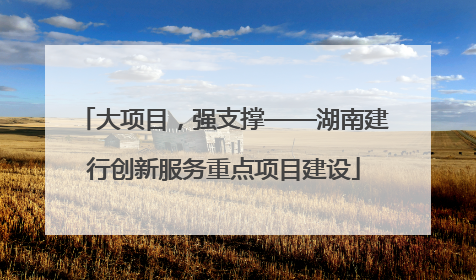 大项目，强支撑——湖南建行创新服务重点项目建设