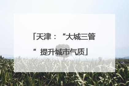 天津：“大城三管”提升城市气质