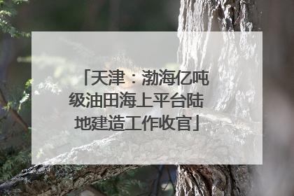 天津：渤海亿吨级油田海上平台陆地建造工作收官
