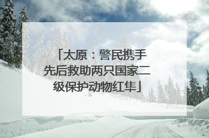 太原：警民携手 先后救助两只国家二级保护动物红隼