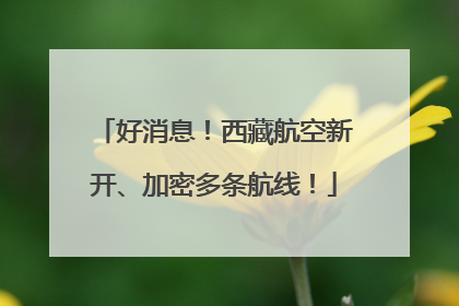好消息！西藏航空新开、加密多条航线！