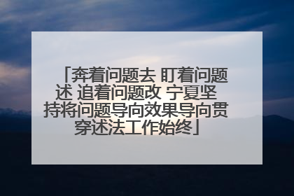 奔着问题去 盯着问题述 追着问题改 宁夏坚持将问题导向效果导向贯穿述法工作始终