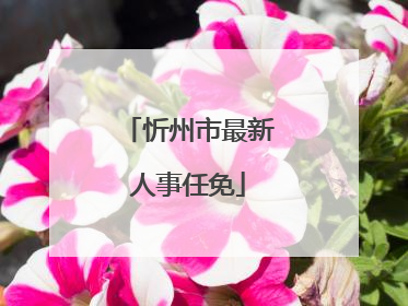 忻州市最新人事任免