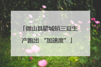 微山县驩城镇三夏生产跑出 “加速度”