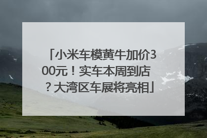 小米车模黄牛加价300元！实车本周到店？大湾区车展将亮相