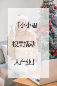 小小碧根果撬动大产业