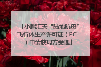 小鹏汇天“陆地航母”飞行体生产许可证（PC）申请获局方受理