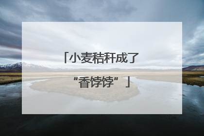 小麦秸秆成了“香饽饽”