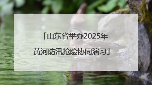 山东省举办2025年黄河防汛抢险协同演习