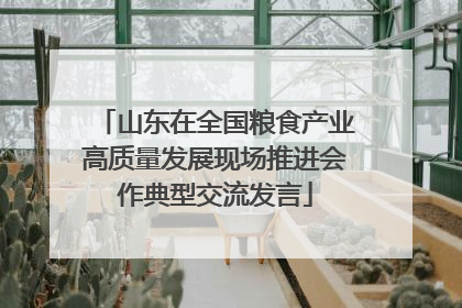 山东在全国粮食产业高质量发展现场推进会作典型交流发言