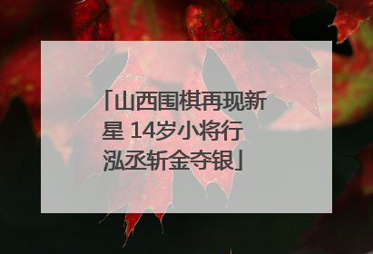 山西围棋再现新星 14岁小将行泓丞斩金夺银