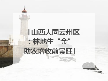 山西大同云州区：林地生“金” 助农增收前景旺