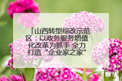 山西转型综改示范区：以政务服务增值化改革为抓手 全力打造“企业家之家”贴心服务体系