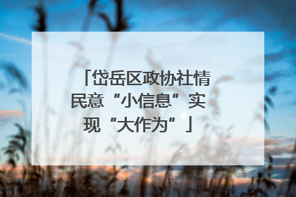 岱岳区政协社情民意“小信息”实现“大作为”