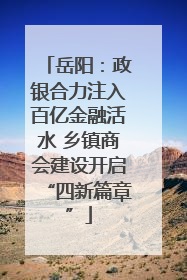 岳阳：政银合力注入百亿金融活水 乡镇商会建设开启“四新篇章”