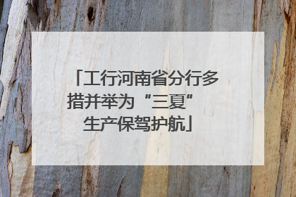 工行河南省分行多措并举为“三夏” 生产保驾护航