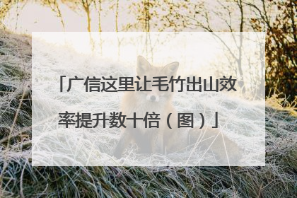 广信这里让毛竹出山效率提升数十倍（图）