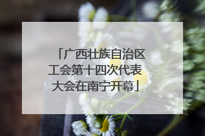 广西壮族自治区工会第十四次代表大会在南宁开幕
