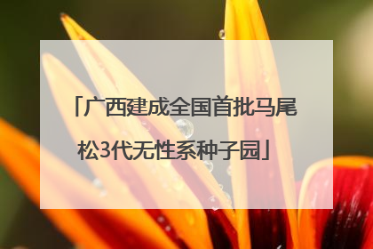 广西建成全国首批马尾松3代无性系种子园