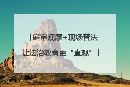 庭审观摩+现场普法 让法治教育更“直观”