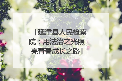 延津县人民检察院：用法治之光照亮青春成长之路