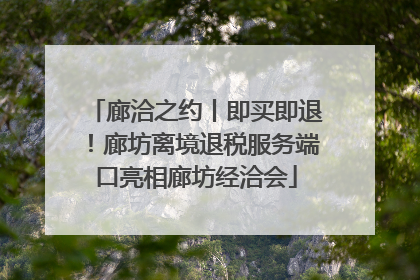廊洽之约丨即买即退！廊坊离境退税服务端口亮相廊坊经洽会
