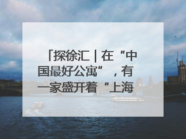 探徐汇｜在“中国最好公寓”，有一家盛开着“上海玫瑰”的书店