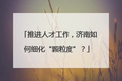 推进人才工作，济南如何细化“颗粒度”？