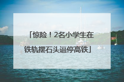 惊险！2名小学生在铁轨摆石头逼停高铁