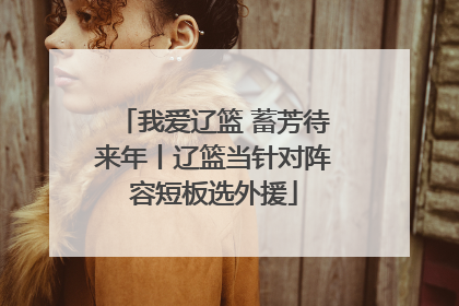 我爱辽篮 蓄芳待来年丨辽篮当针对阵容短板选外援