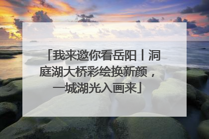 我来邀你看岳阳丨洞庭湖大桥彩绘换新颜，一城湖光入画来