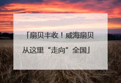 扇贝丰收！威海扇贝从这里“走向”全国