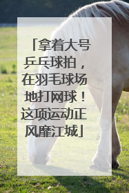 拿着大号乒乓球拍，在羽毛球场地打网球！这项运动正风靡江城