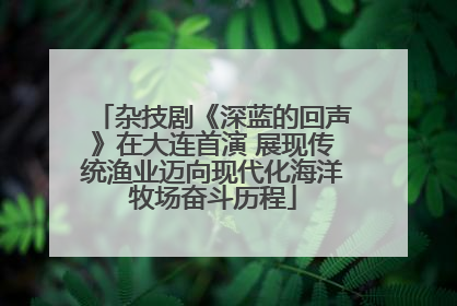 杂技剧《深蓝的回声》在大连首演 展现传统渔业迈向现代化海洋牧场奋斗历程