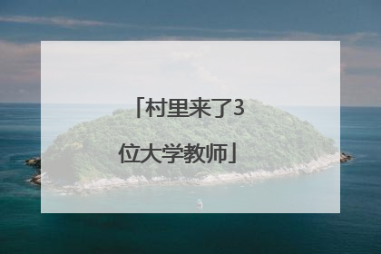 村里来了3位大学教师